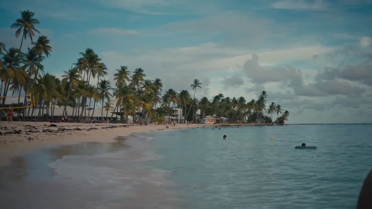 Plage de sable bordée de cocotiers, mer calme en fin de journée