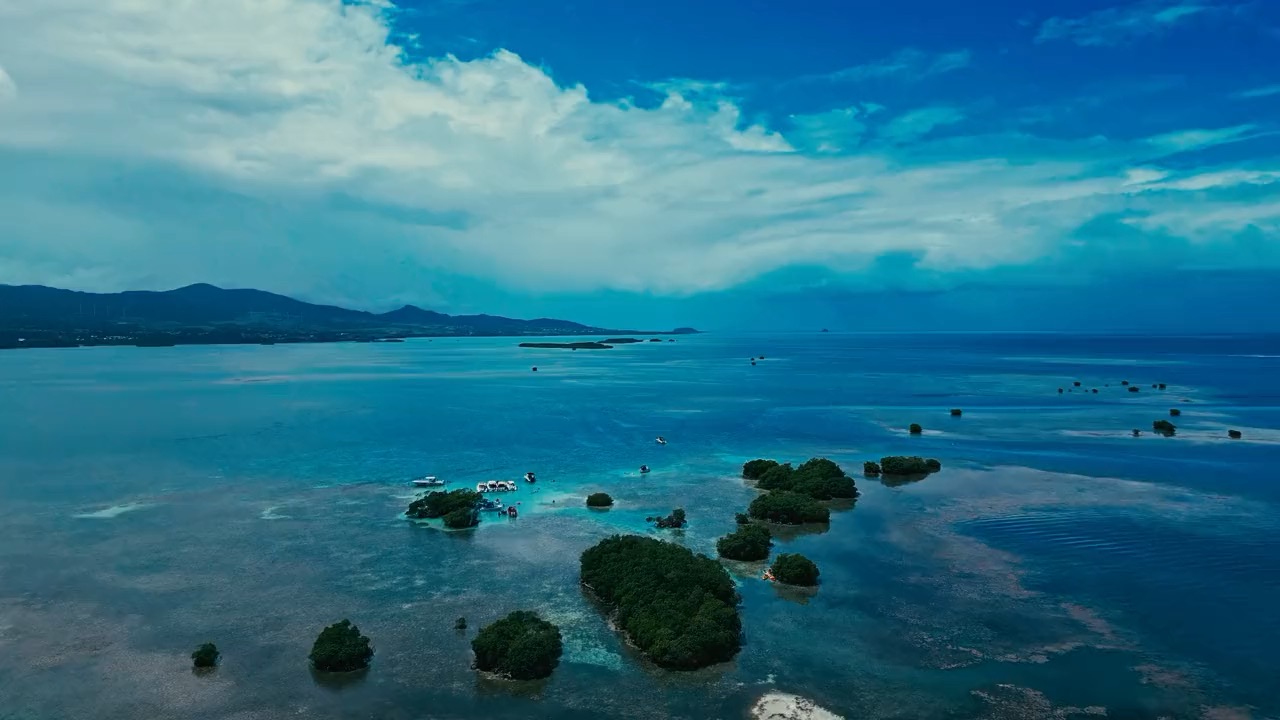 Survol en drone d'îlets de mangrove dans un lagon peu profond, montagnes au loin